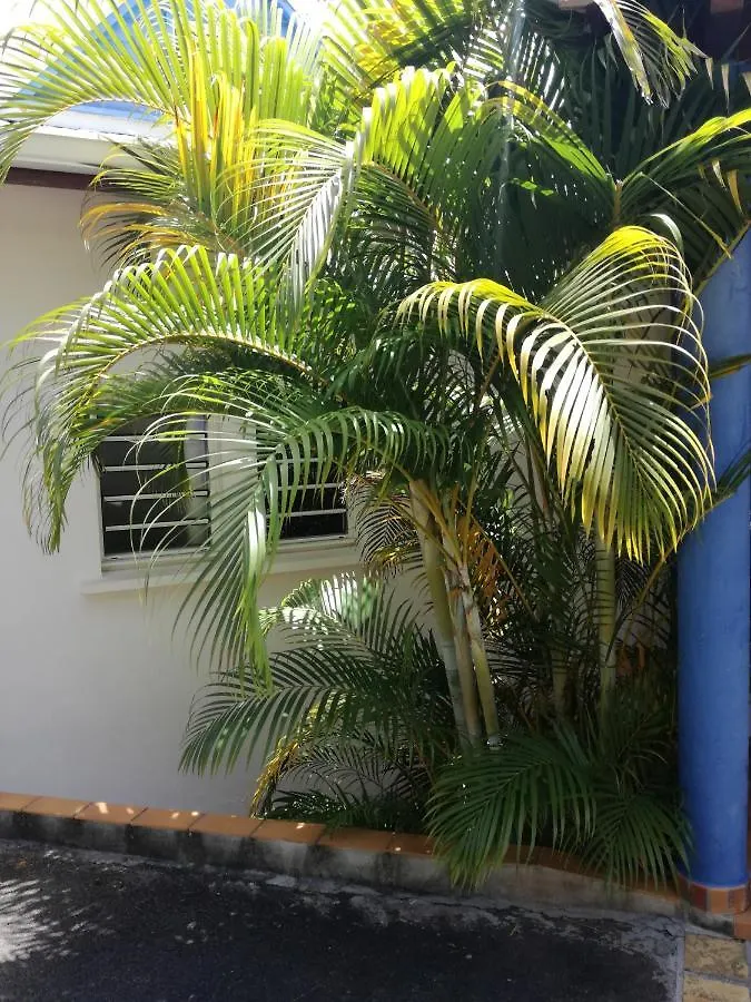 Appartement Emeraude&Studio Azur Gourbeyre